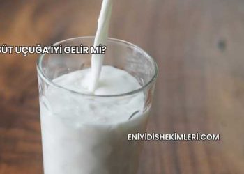 Süt Uçuğa İyi Gelir mi?