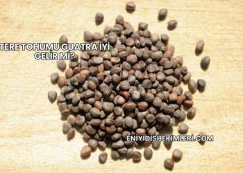 Tere Tohumu Guatra İyi Gelir mi?