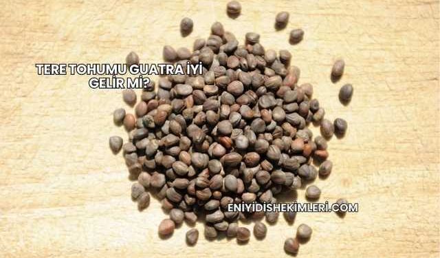 Tere Tohumu Guatra İyi Gelir mi?