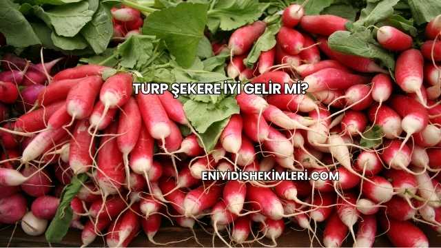 Turp Şekere İyi Gelir mi?