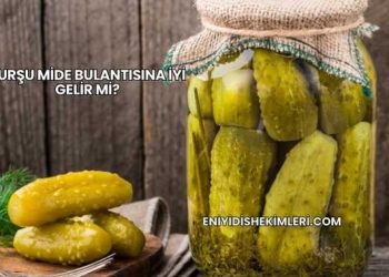 Turşu Mide Bulantısına İyi Gelir mi?
