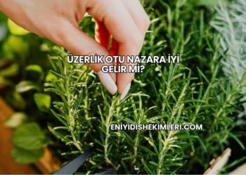 Çörek Otu Yağı Sivilcelere İyi Gelir mi?