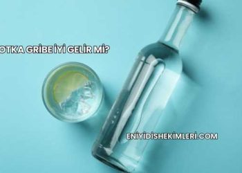 Votka Gribe İyi Gelir mi?