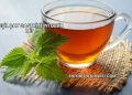 Yeşil Çay Gastrite İyi Gelir mi?