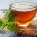 Yeşil Çay Gastrite İyi Gelir mi?