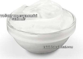 Yoğurt Kolesterole İyi Gelir mi?