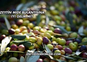 Zeytin Mide Bulantısına İyi Gelir mi?