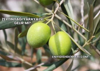 Zeytinyağı Yaraya İyi Gelir mi?