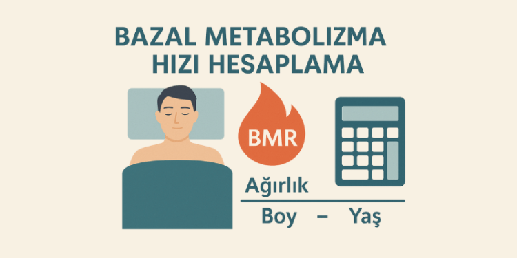 Bazal Metabolizma Hızı Hesaplama