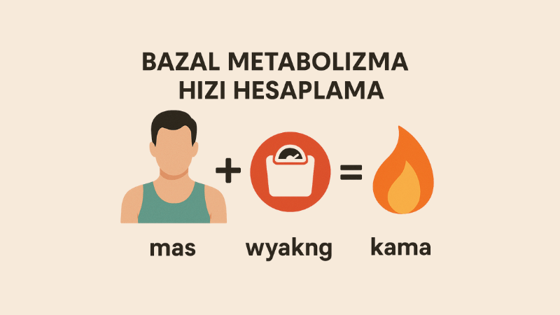 Bazal Metabolizma Hızı Hesaplama