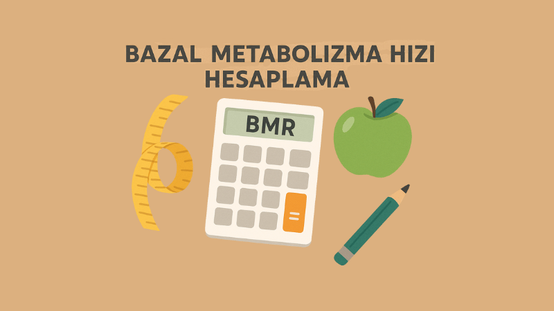 Bazal Metabolizma Hızı Hesaplama