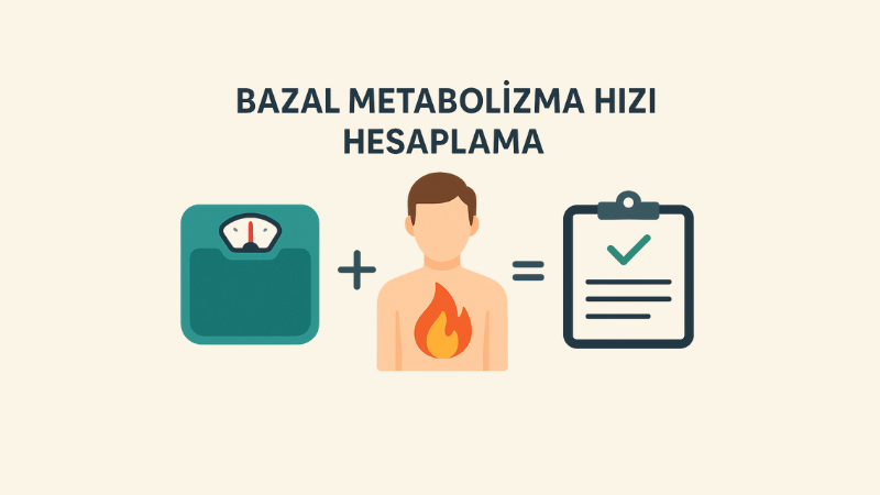 Bazal Metabolizma Hızı Hesaplama