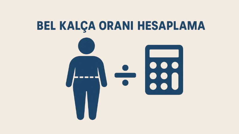 Bel Kalça Oranı Hesaplama