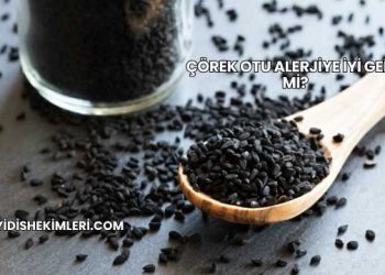 Çörek Otu Alerjiye İyi Gelir mi?