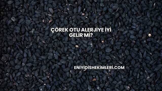 Çörek Otu Alerjiye İyi Gelir mi?