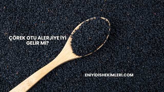 Çörek Otu Alerjiye İyi Gelir mi?
