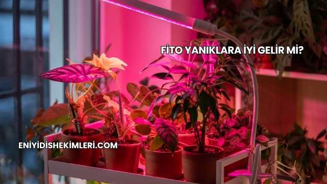 Fito Yanıklara İyi Gelir mi?