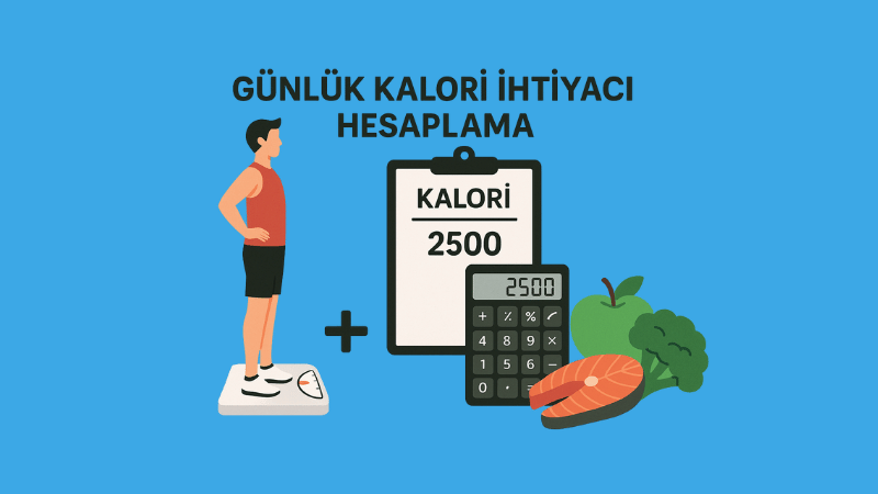 Günlük Kalori İhtiyacı Hesaplama