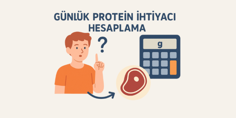 Günlük Protein İhtiyacı Hesaplama