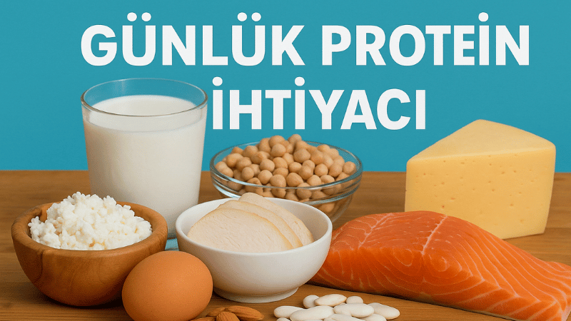 Günlük Protein İhtiyacı Hesaplama