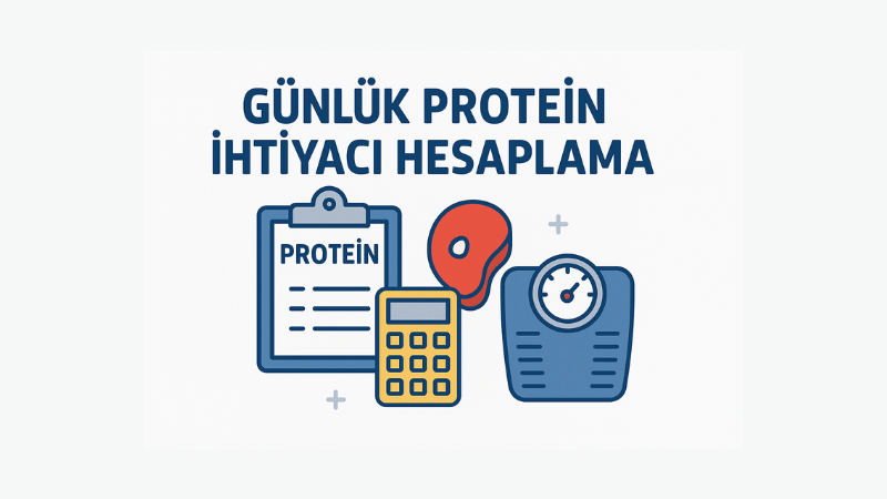 Günlük Protein İhtiyacı Hesaplama
