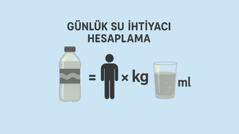 Günlük Su İhtiyacı Hesaplama
