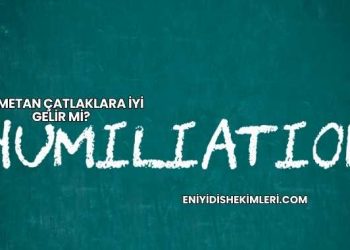 Hametan Çatlaklara İyi Gelir mi?