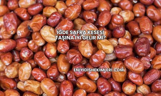 İğde Safra Kesesi Taşına İyi Gelir mi?