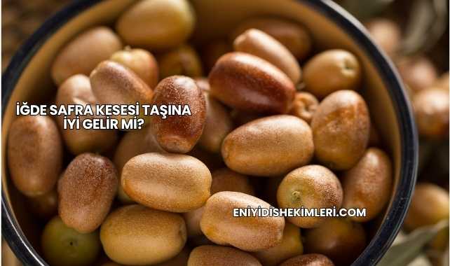İğde Safra Kesesi Taşına İyi Gelir mi?