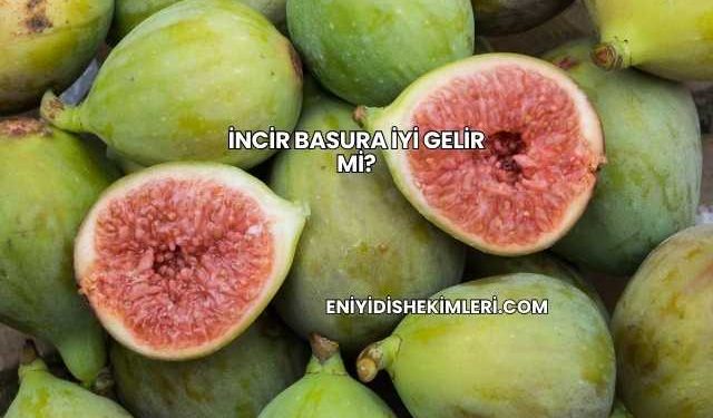 İncir Basura İyi Gelir mi?