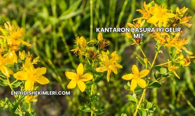 Kantaron Basura İyi Gelir mi?