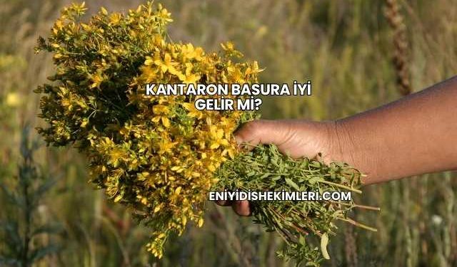 Kantaron Basura İyi Gelir mi?