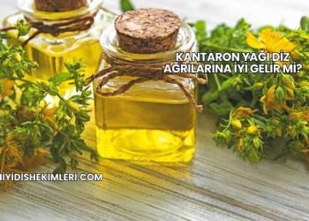 Kantaron Yağı Diz Ağrılarına İyi Gelir mi?