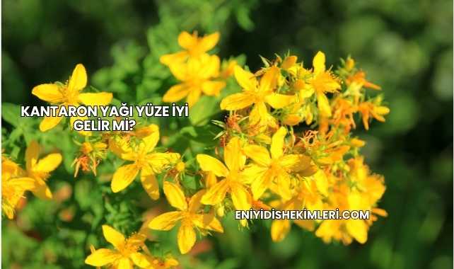 Kantaron Yağı Yüze İyi Gelir mi?