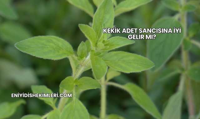 Kekik Adet Sancısına İyi Gelir mi?