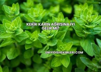 Kekik Karın Ağrısına İyi Gelir mi?