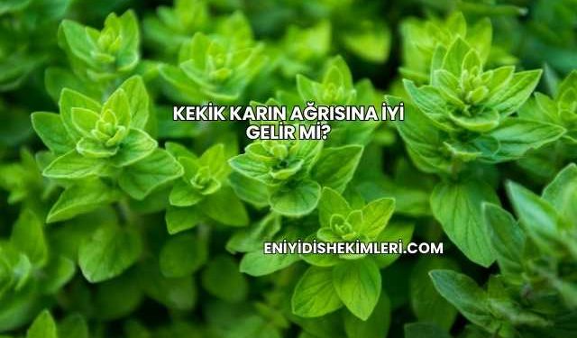 Kekik Karın Ağrısına İyi Gelir mi?