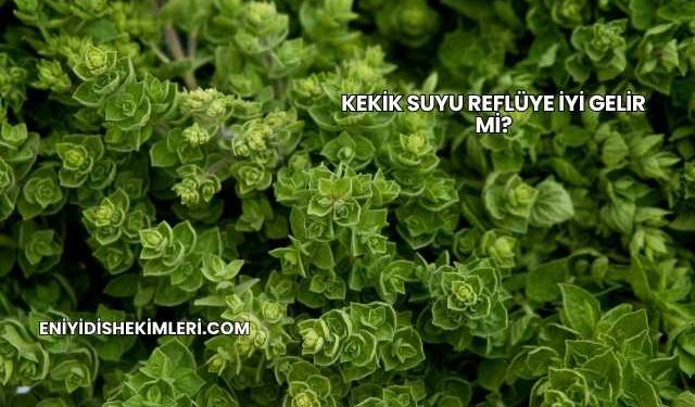 Kekik Suyu Reflüye İyi Gelir mi?