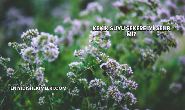 Kekik Suyu Şekere İyi Gelir mi?