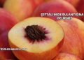 Şeftali Mide Bulantısına İyi Gelir mi?