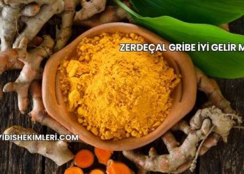 Zerdeçal Gribe İyi Gelir mi?