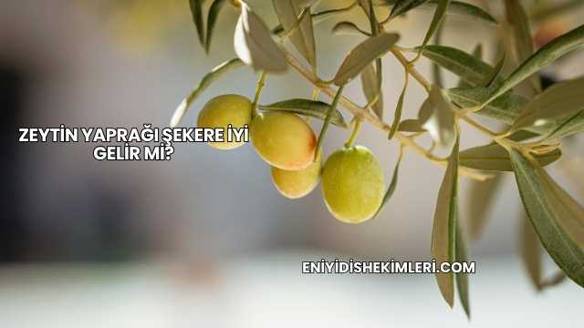 Zeytin Yaprağı Şekere İyi Gelir mi?
