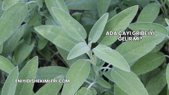 Ada Çayı Gribe İyi Gelir mi?