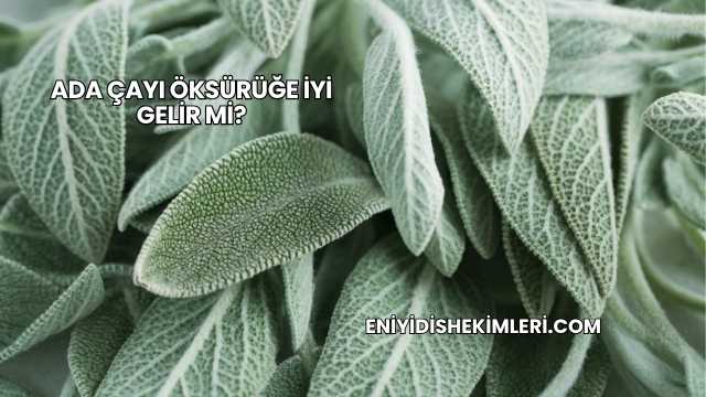 Ada Çayı Öksürüğe İyi Gelir mi?