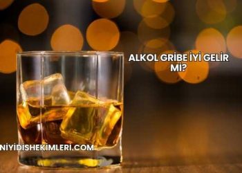 Alkol Gribe İyi Gelir mi?