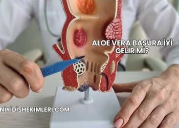 Aloe Vera Basura İyi Gelir mi?