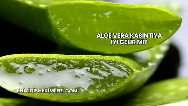Aloe Vera Kaşıntıya İyi Gelir mi?