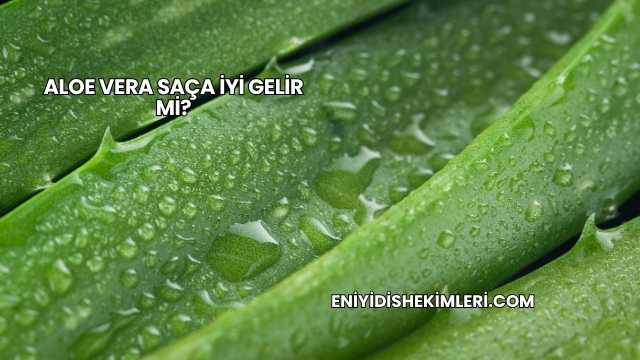 Aloe Vera Saça İyi Gelir mi?