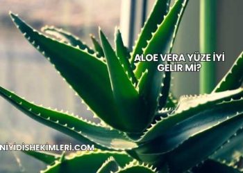 Aloe Vera Yüze İyi Gelir mi?