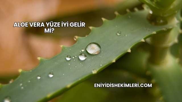 Aloe Vera Yüze İyi Gelir mi?